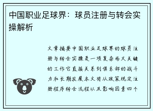 中国职业足球界：球员注册与转会实操解析